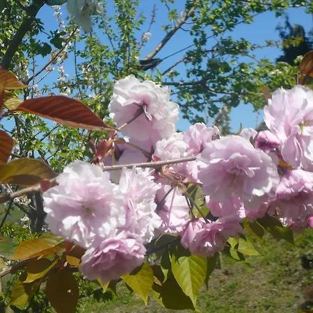 Country house Arriola Txiki