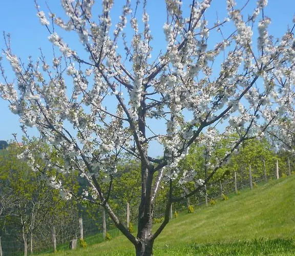 Arriola Txiki Εξοχικό σπίτι Itziar