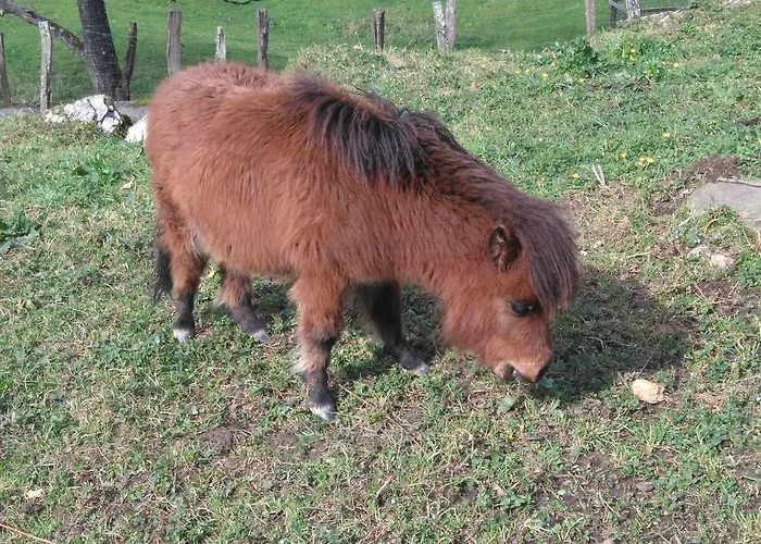 Εξοχικό σπίτι Arriola Txiki *