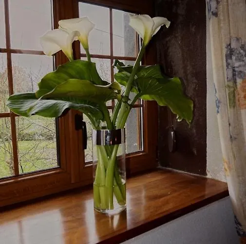 Casa rural Arriola Txiki Itziar