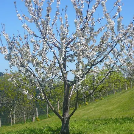 Arriola Txiki Lantställe Itziar