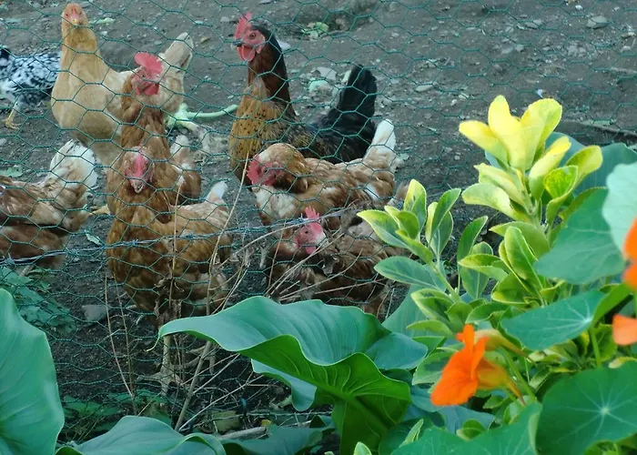 Arriola Txiki * Itziar