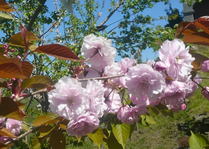 Casa de Campo Arriola Txiki